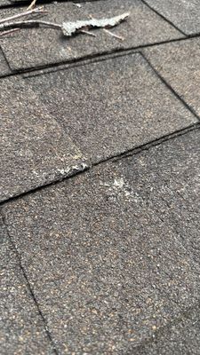 Turtle Shell gutter protection installation in Naperville, IL 60563, photograph 13