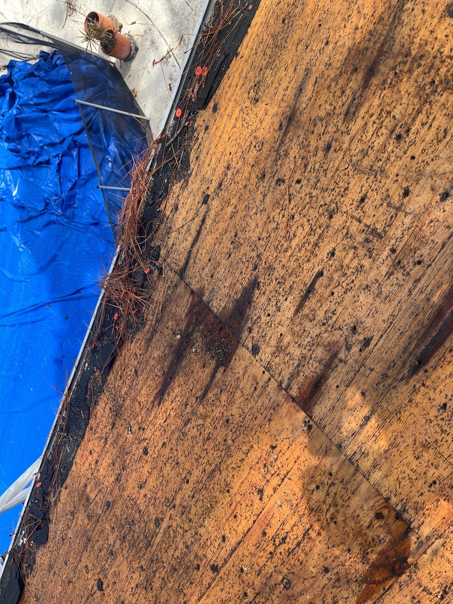 Project in Seminole 33776 by Mitchell Roofing Company LLC