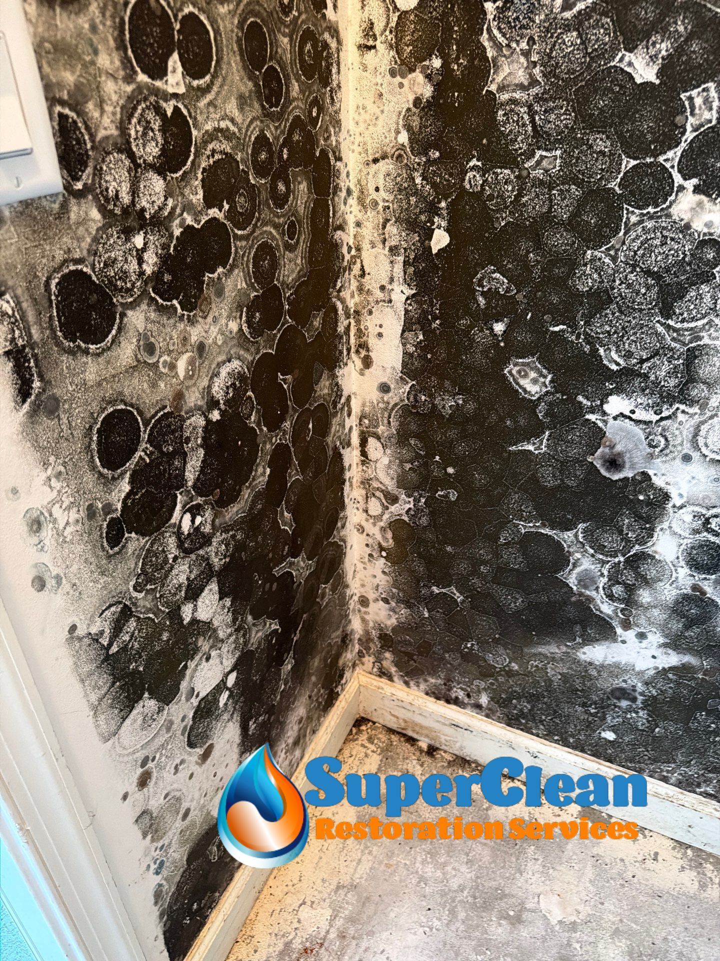 Mold Remediation and Interior Structural Drying in Wellington, Florida by SuperClean