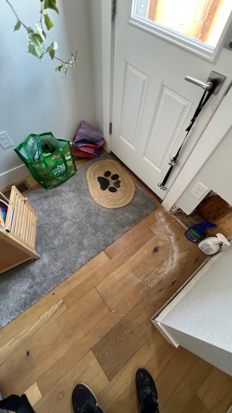 Mold Remediation  by Accountable Home Services