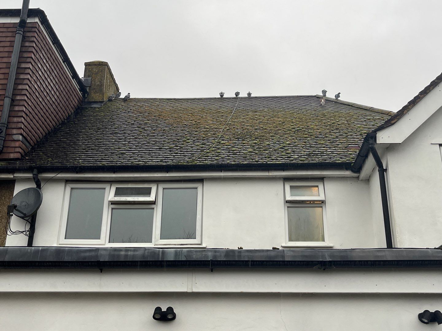 Roof Clean - Biocide Treatment using Mosmatic FSC and Biocide by Ges Exterior Cleaning ltd