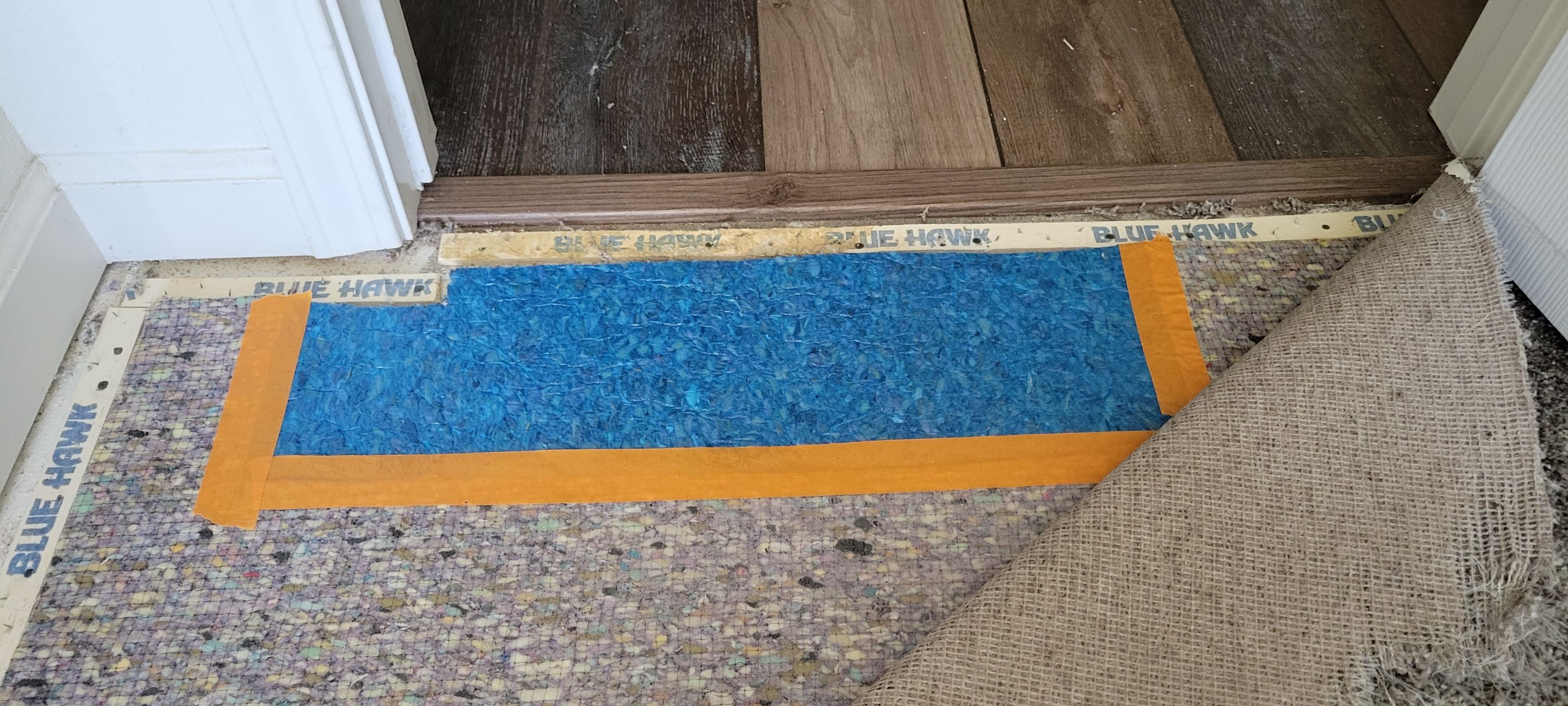 Repairing Carpet Damaged by Cats by Ardent Carpet Restore LLC