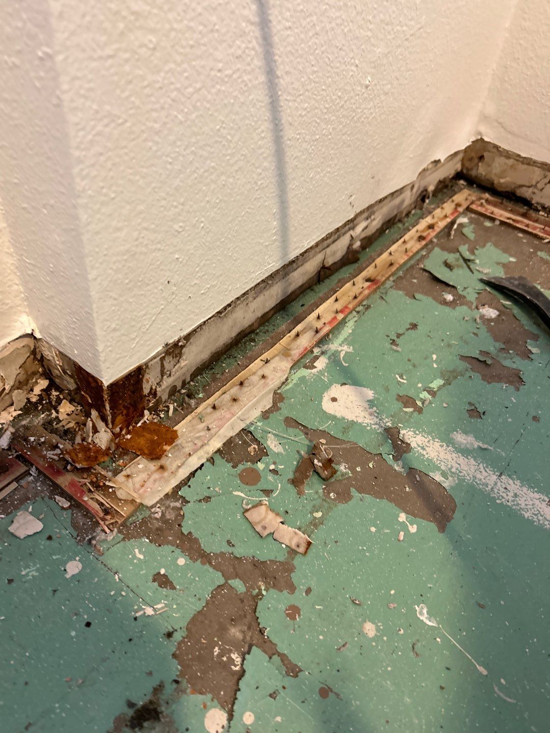 Mold Remediation by Accountable Home Services