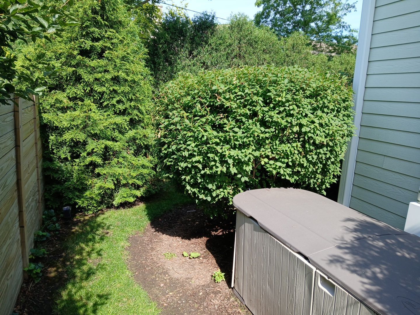 Lisa C. - Arlington Heights, IL by A&N