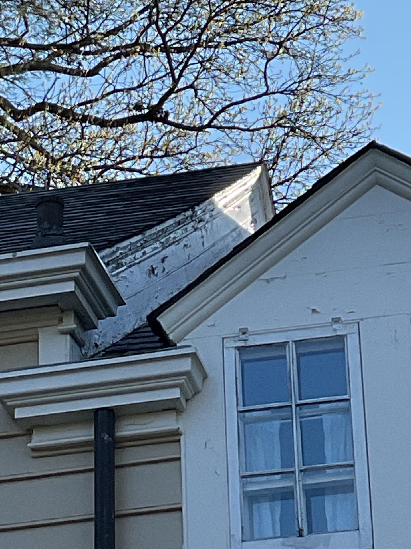 Exterior House Painting Project in Newtown, PA by Groovy Hues