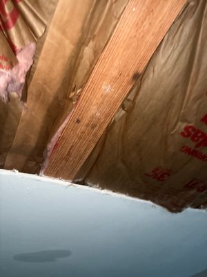 Slab Leak Restoration — Pensacola, FL