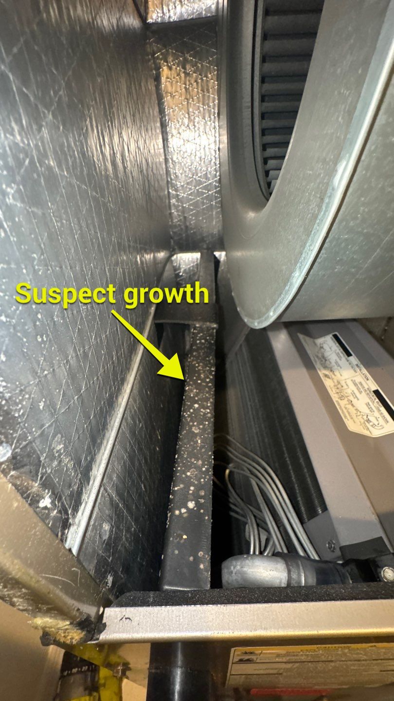 Air Ducts, Dryer Vent, Bathroom Exhaust Fans Cleaning in Groveland by Hygienic Air, Inc