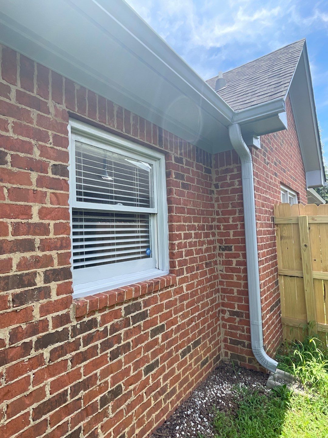 Downing Park - Paint by Pillar and Pine