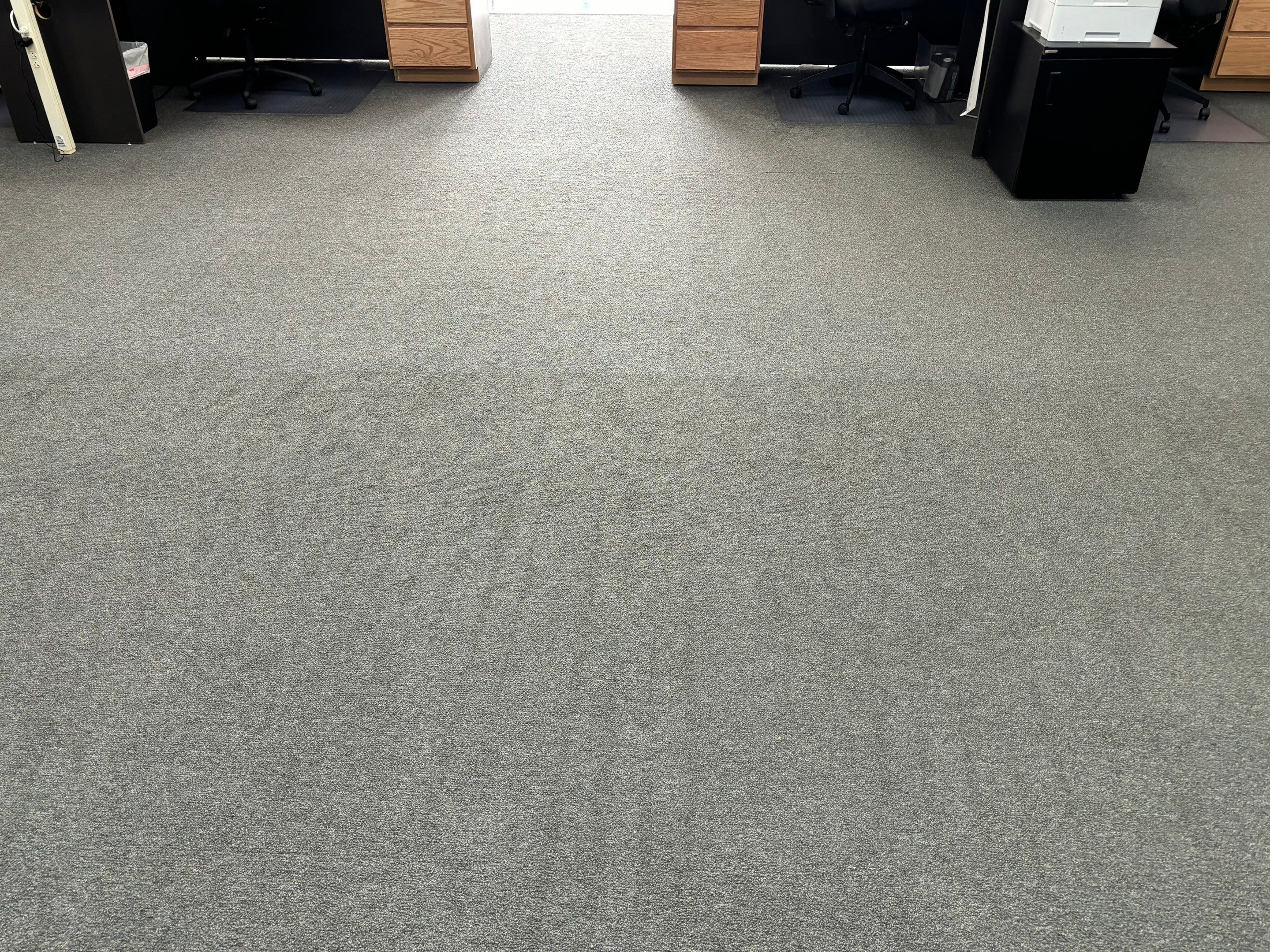 the service being done is carpet cleaning in an office space for a fresh and clean appearance