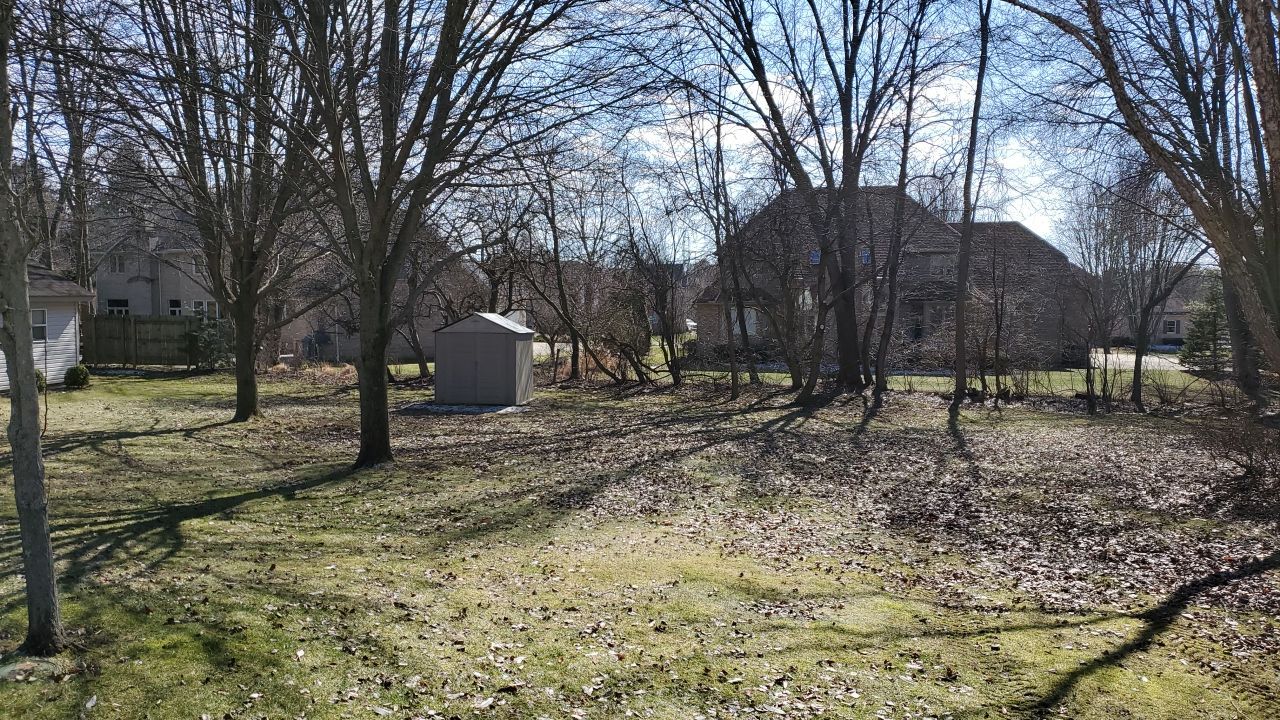 Tree Removal using Tree Removal by Mike Jones & Sons Tree Service LLC 