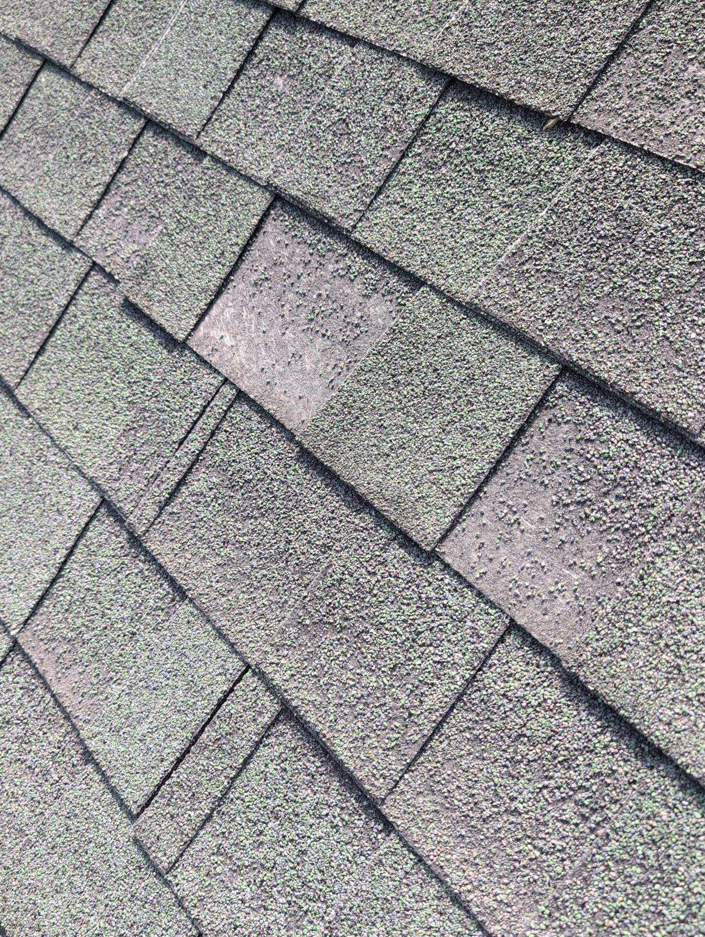 Roof Replacement & Seamless Gutters in Cape Fair by Table Rock Design + Build