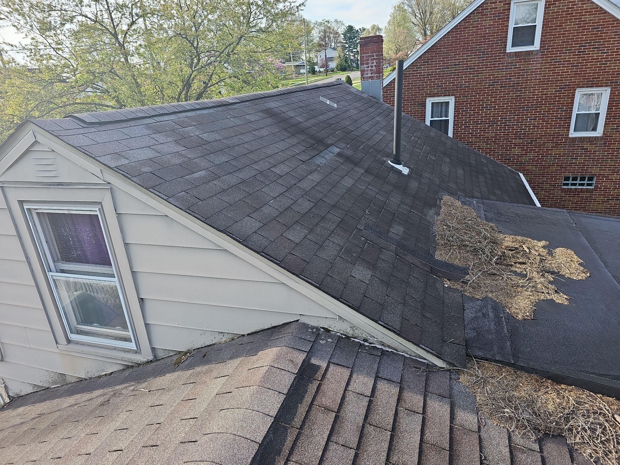 ATLAS PINNACLE COLOR: MORNING HARVEST by Eagle Eye Roofing