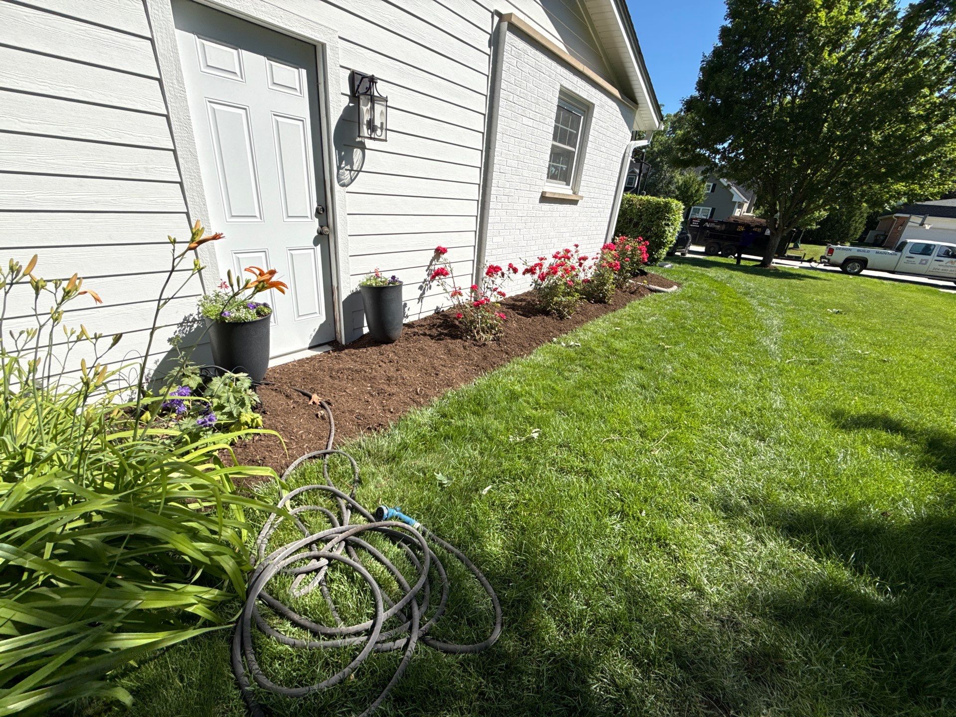 Lesley D. - Arlington Heights, IL by A&N 
