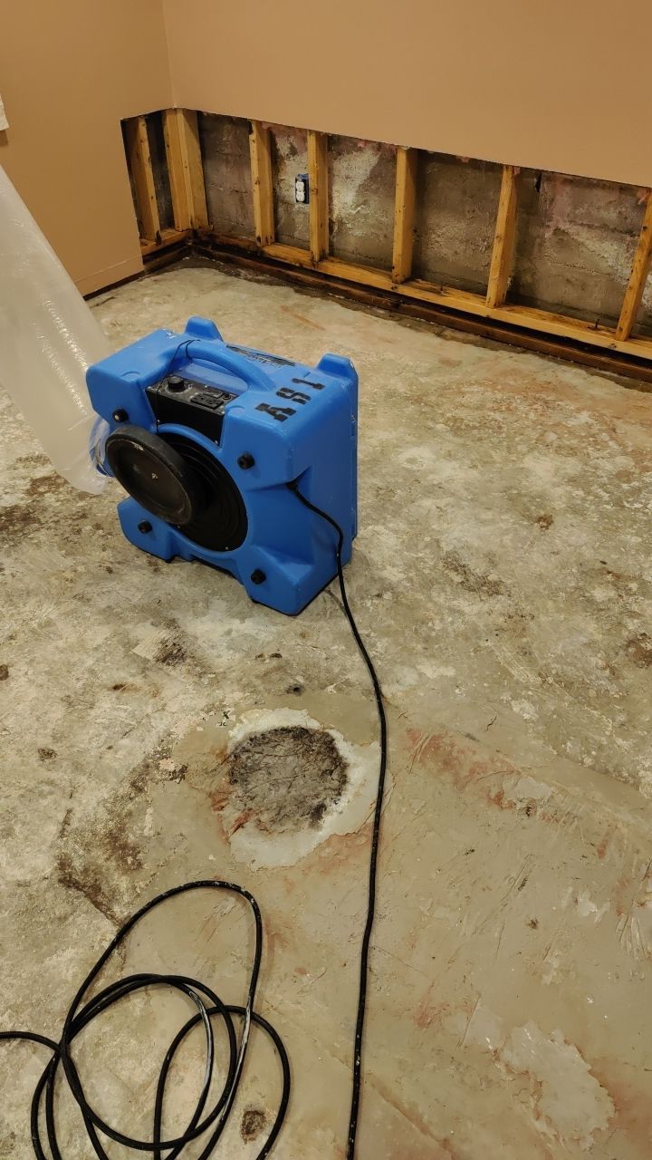 Water Damage and Mold Remediation by Accountable Home Services