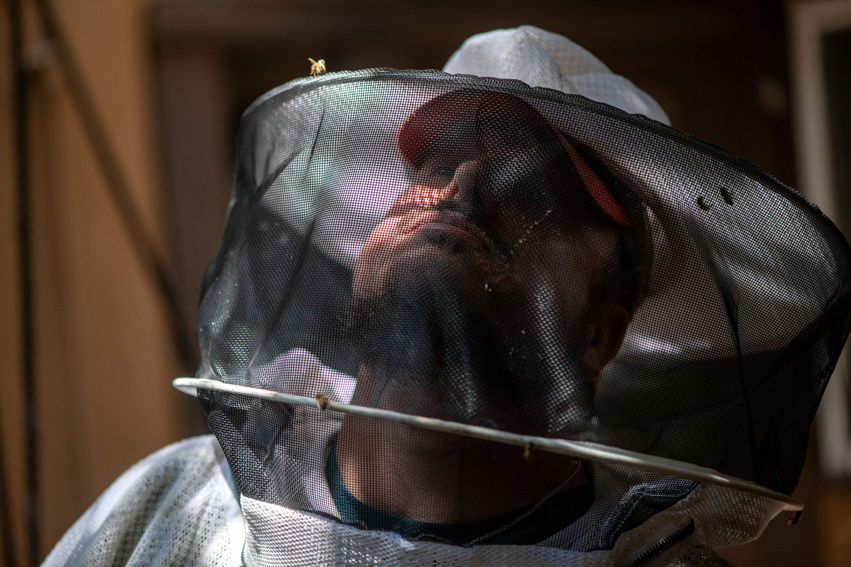 Condo Patio by Rockwall Honey Bee Company