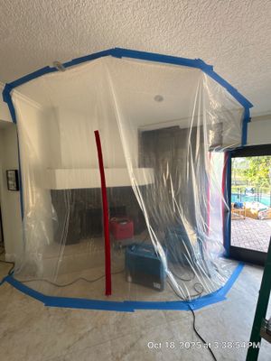 MOLD