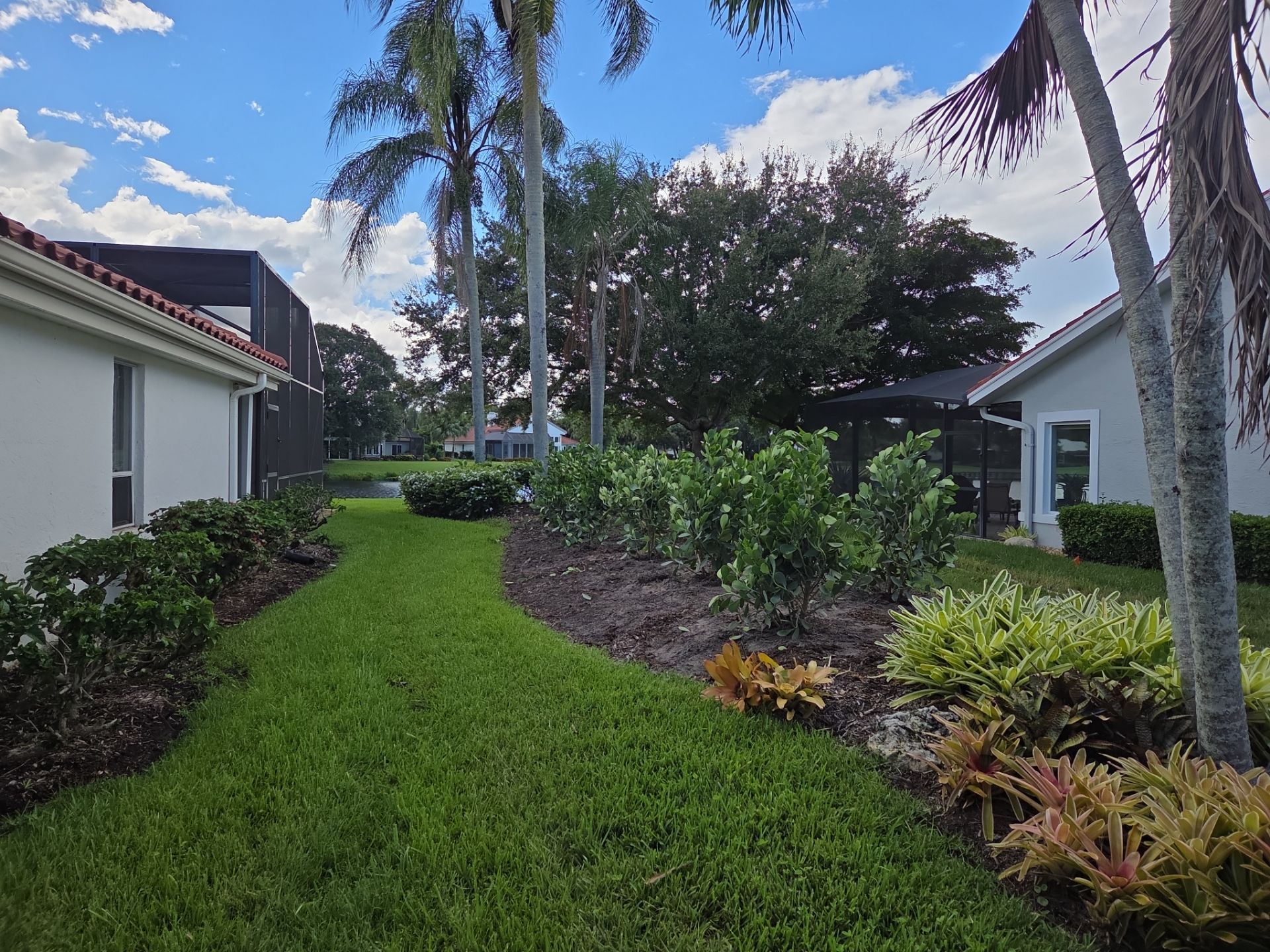 🌴 “Harbour Ridge Haven – A Tropical Revival by Alpha Zeta Landscapes” by Alpha Zeta Enterprises Inc