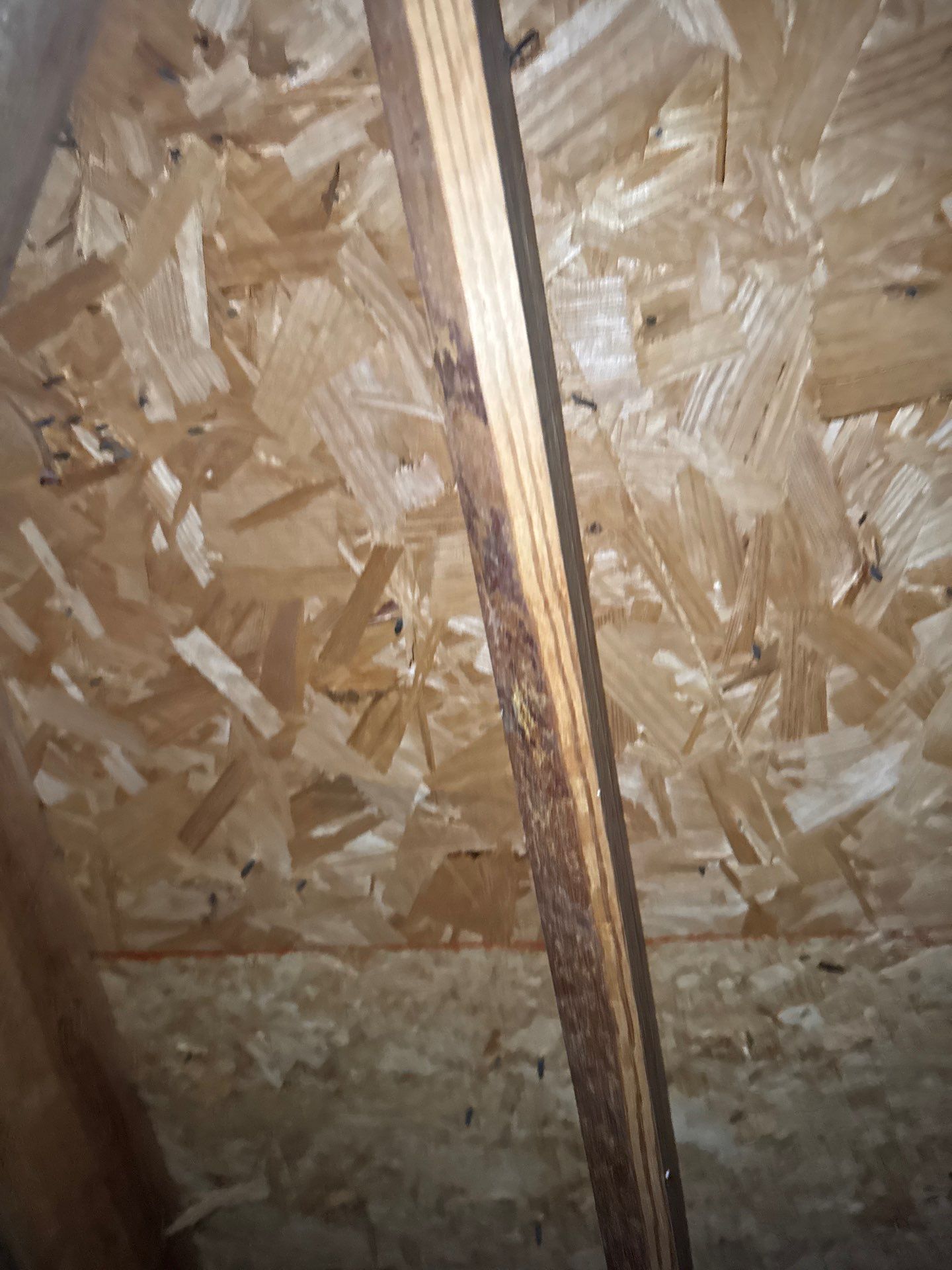 Roof Repair Spring by Roof Repair Company