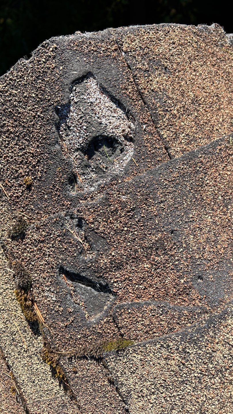 Owens Corning TruDefinition Duration - Desert Rose by Montana Roofing Solutions