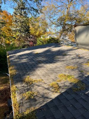 Turtle Shell gutter protection installation in Lisle, IL 60532, photograph 3