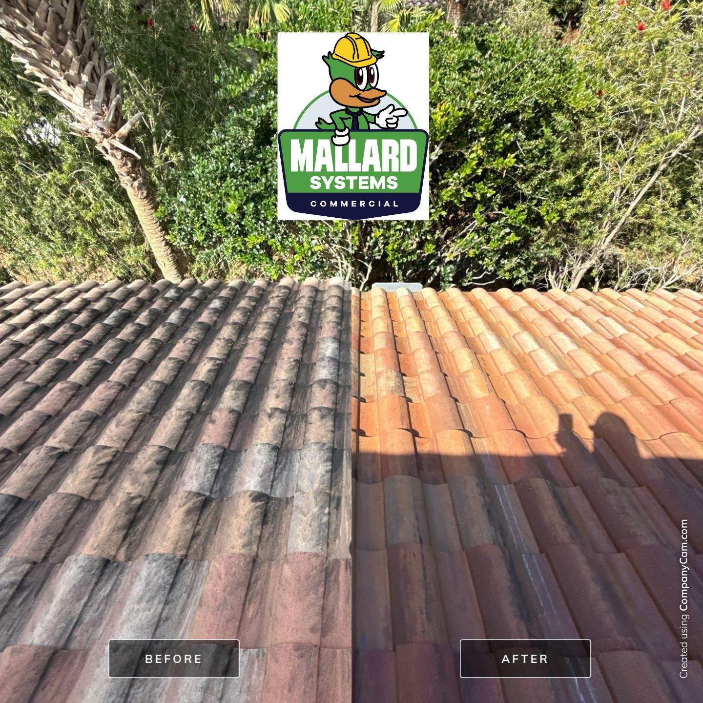 Tile Roof Cleaning by Mallard Systems