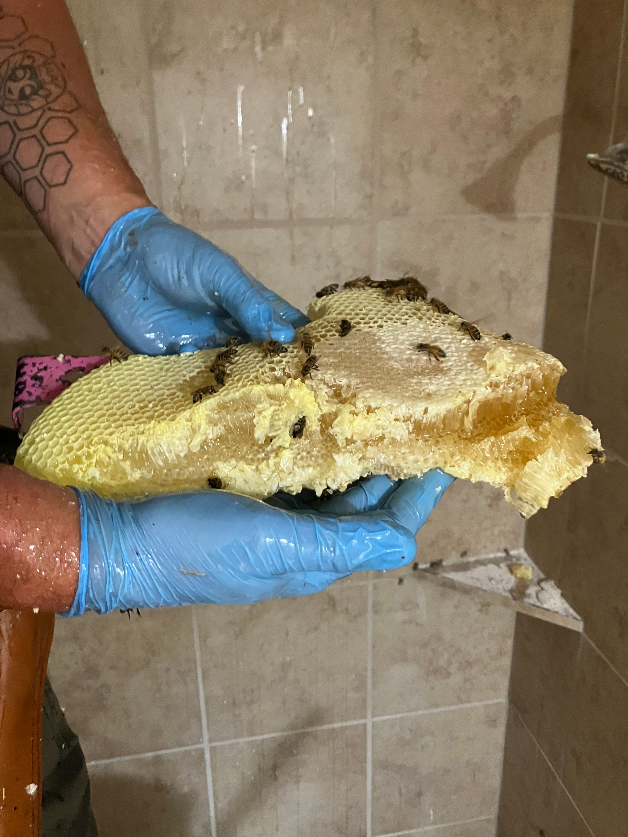 Prosperous Bees by Rockwall Honey Bee Company