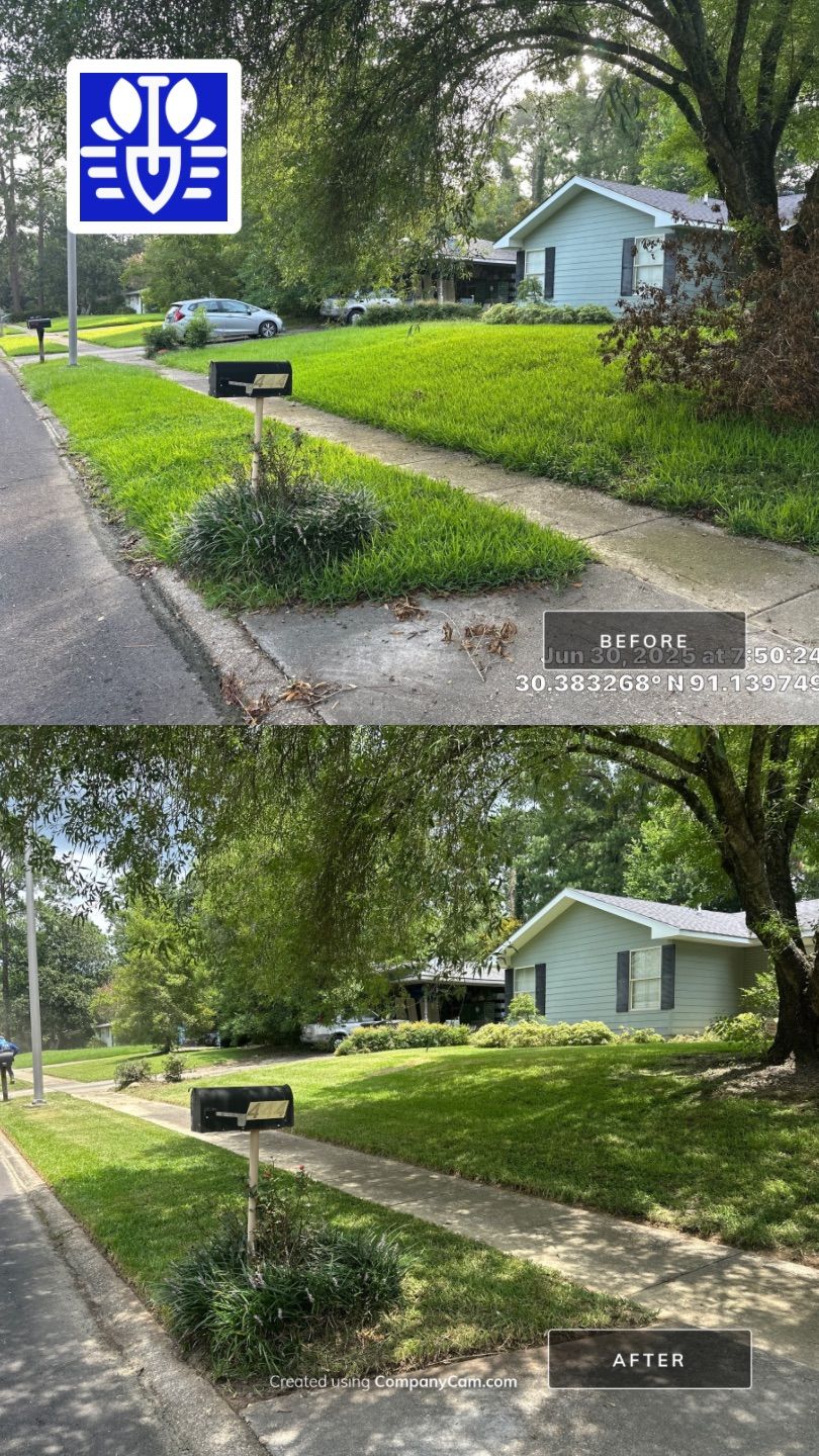 RESIDENTIAL LAWN MAINTENANCE: (ONE TIME CUT) (CUT ON REQUEST) by CutScape, LLC.