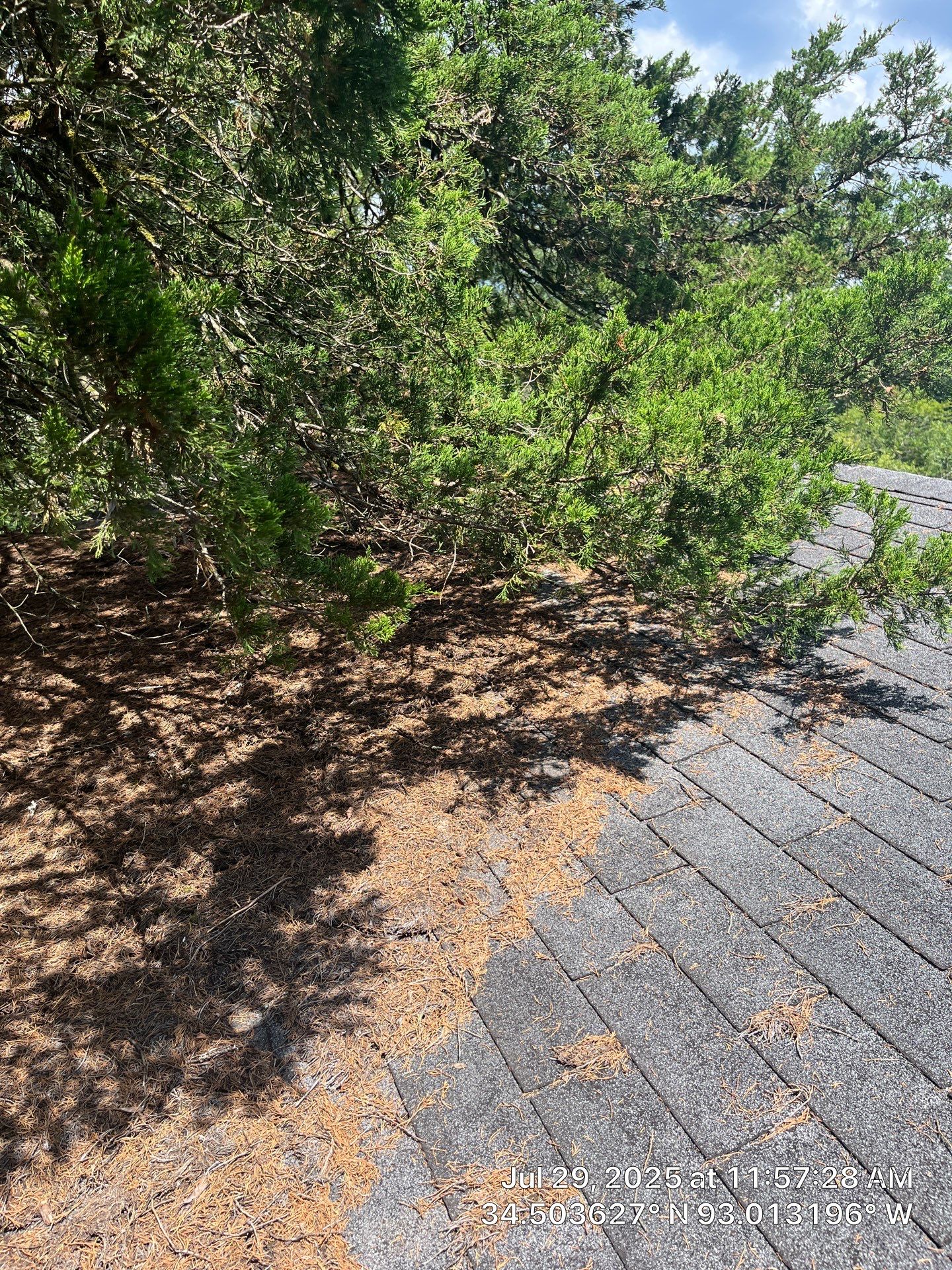 GAF Timberline HDZ Roof Replacement on Brick Home in Hot Springs by Temple Roofing and Exteriors