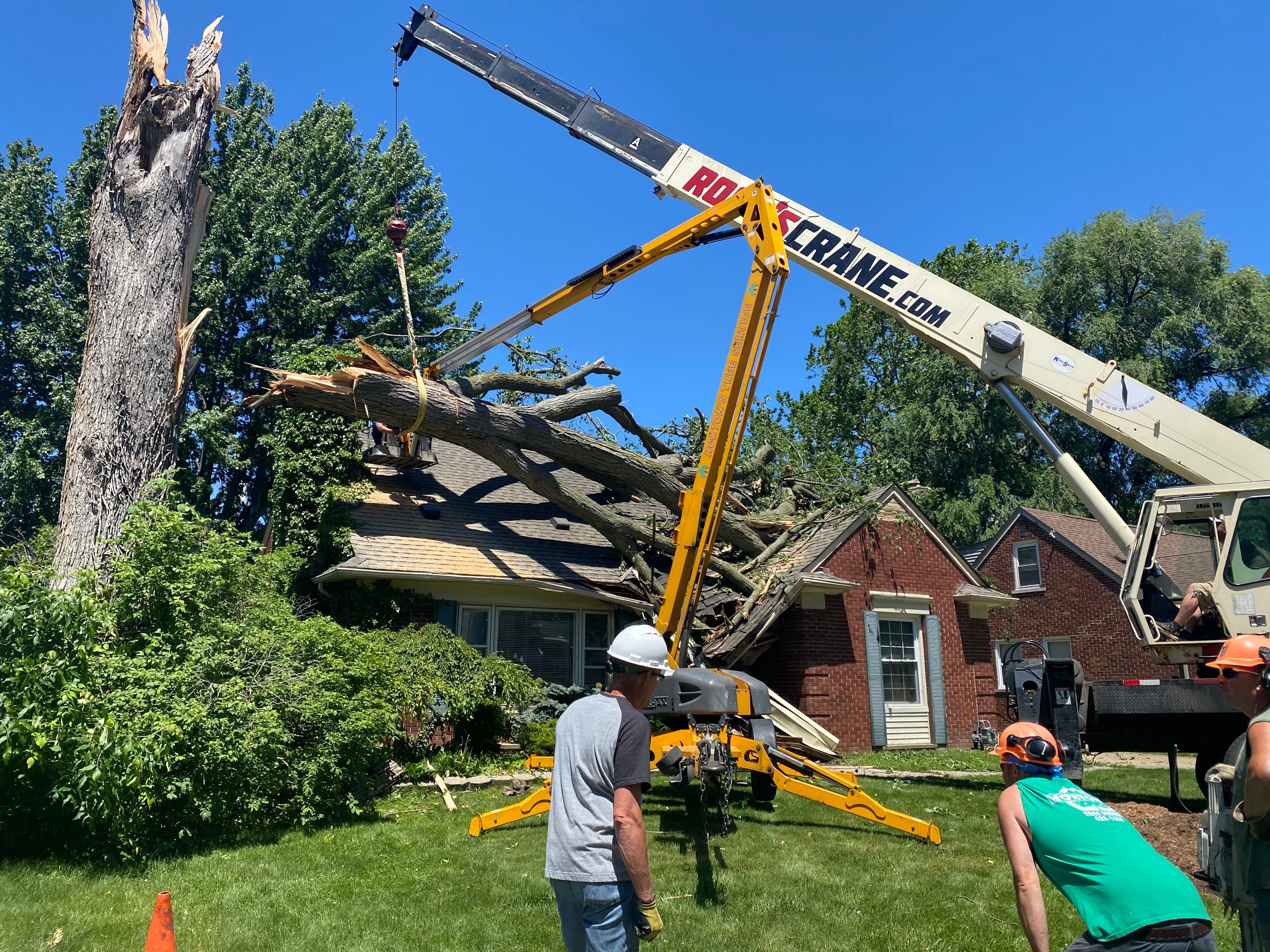 Large Tree Strike Restoration  by Bloomfield Construction & Restoration