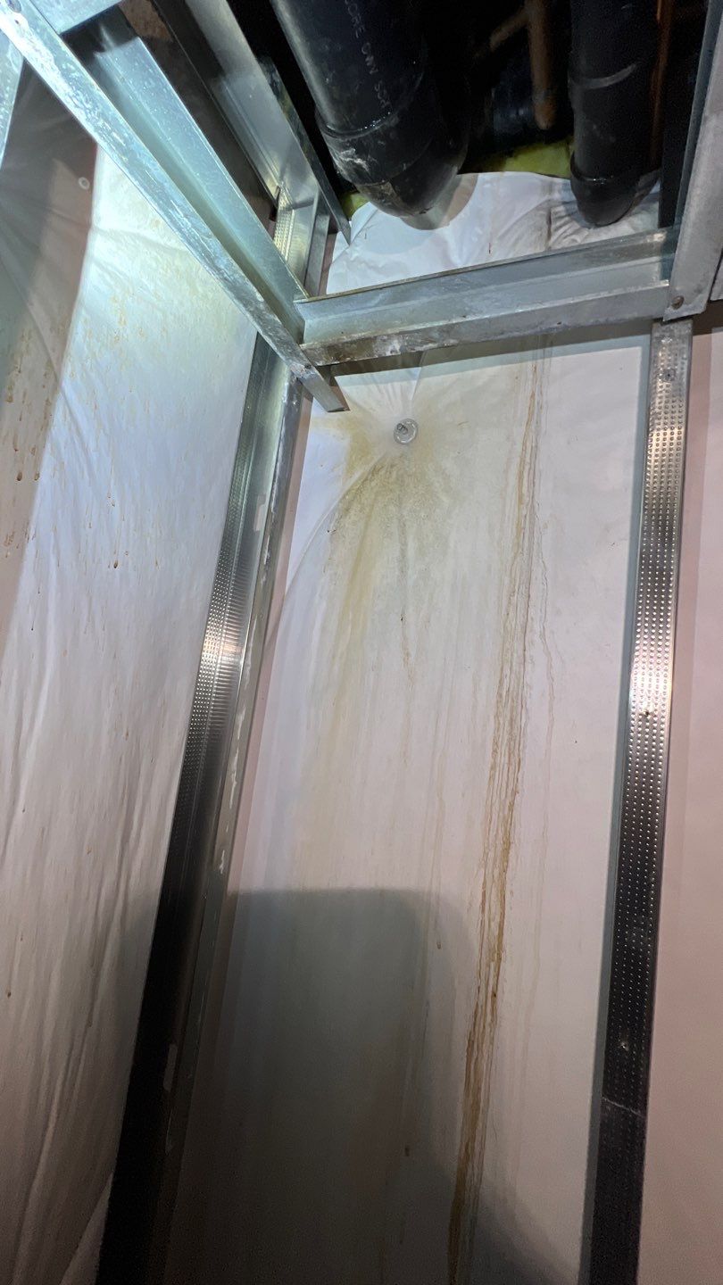 Mold Remediation by Accountable Home Services