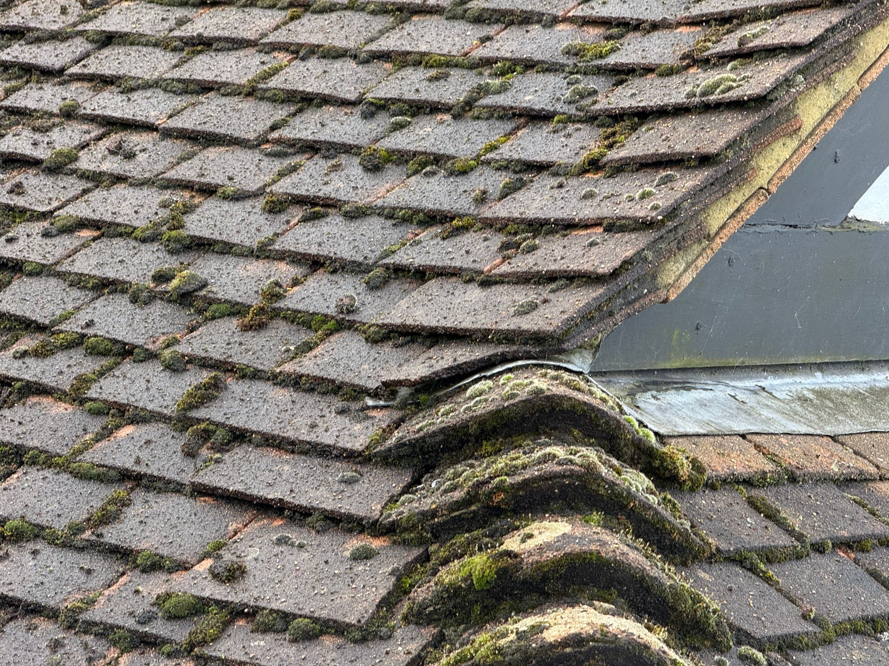 Roof Clean Epsom by Ges Exterior Cleaning ltd