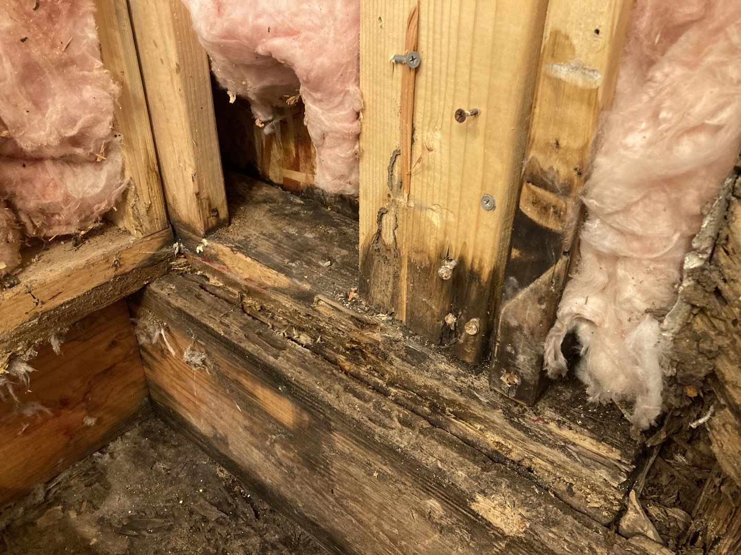 Mold Remediation in Bathroom by Accountable Home Services