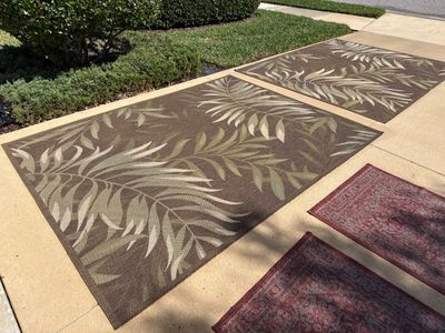 Outdoor Rug Deep Cleaning | Forest Creek Community, Parrish FL