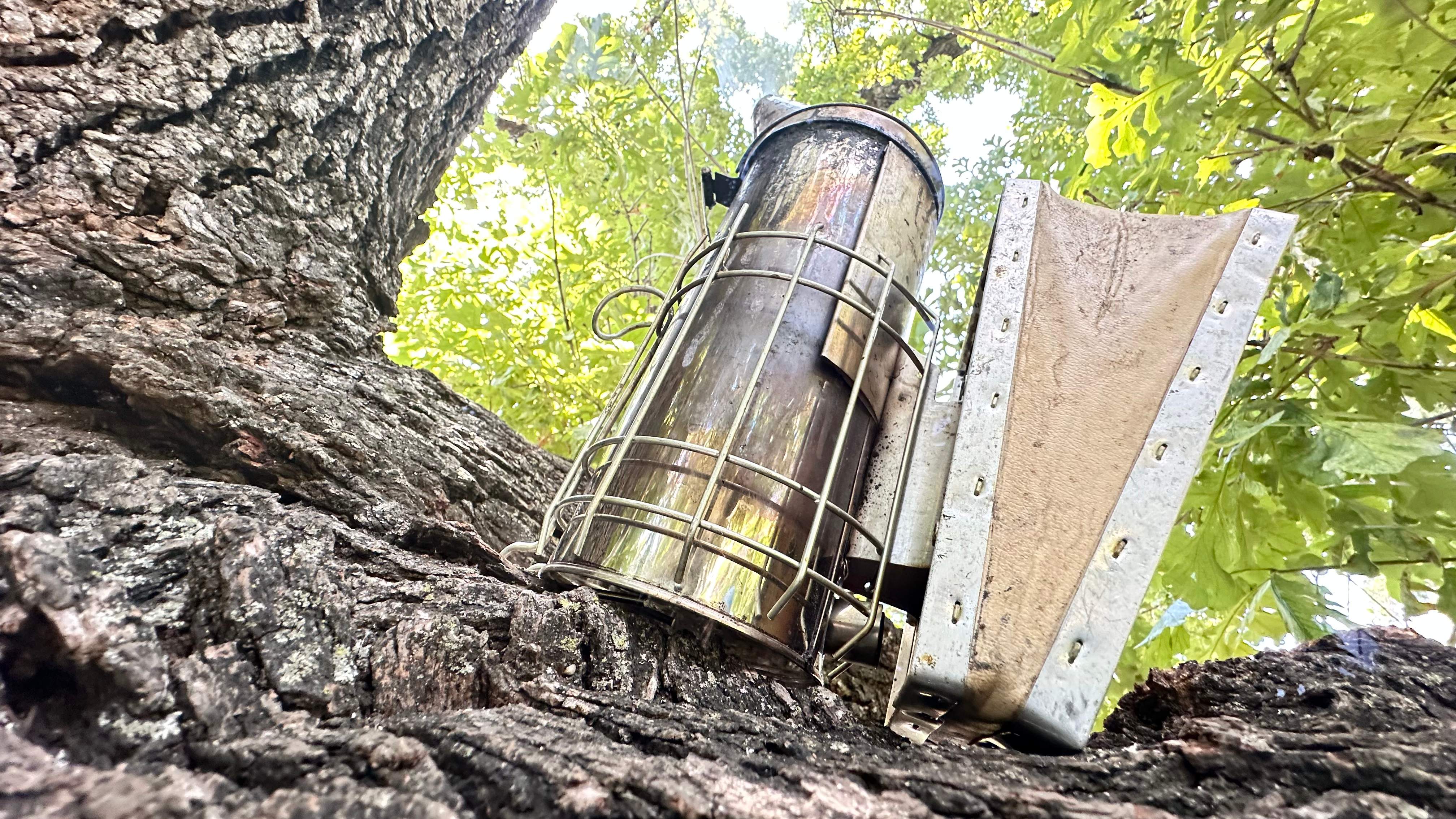 Tight Squeeze by Rockwall Honey Bee Company