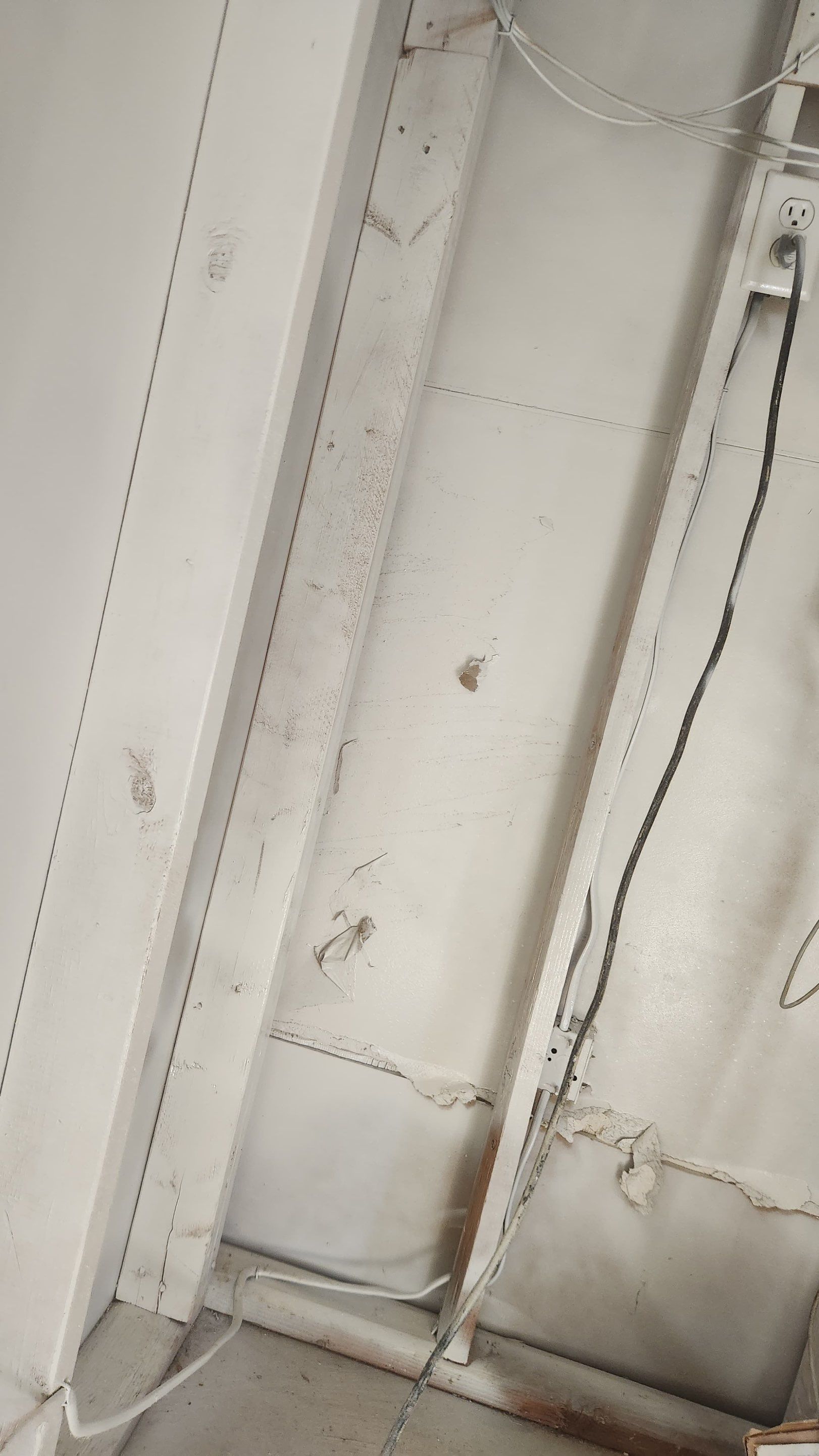 Attic Mold Remediation in Montville, NJ by Pure Service Pro, LLC