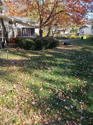 Tree Removal using Tree Removal