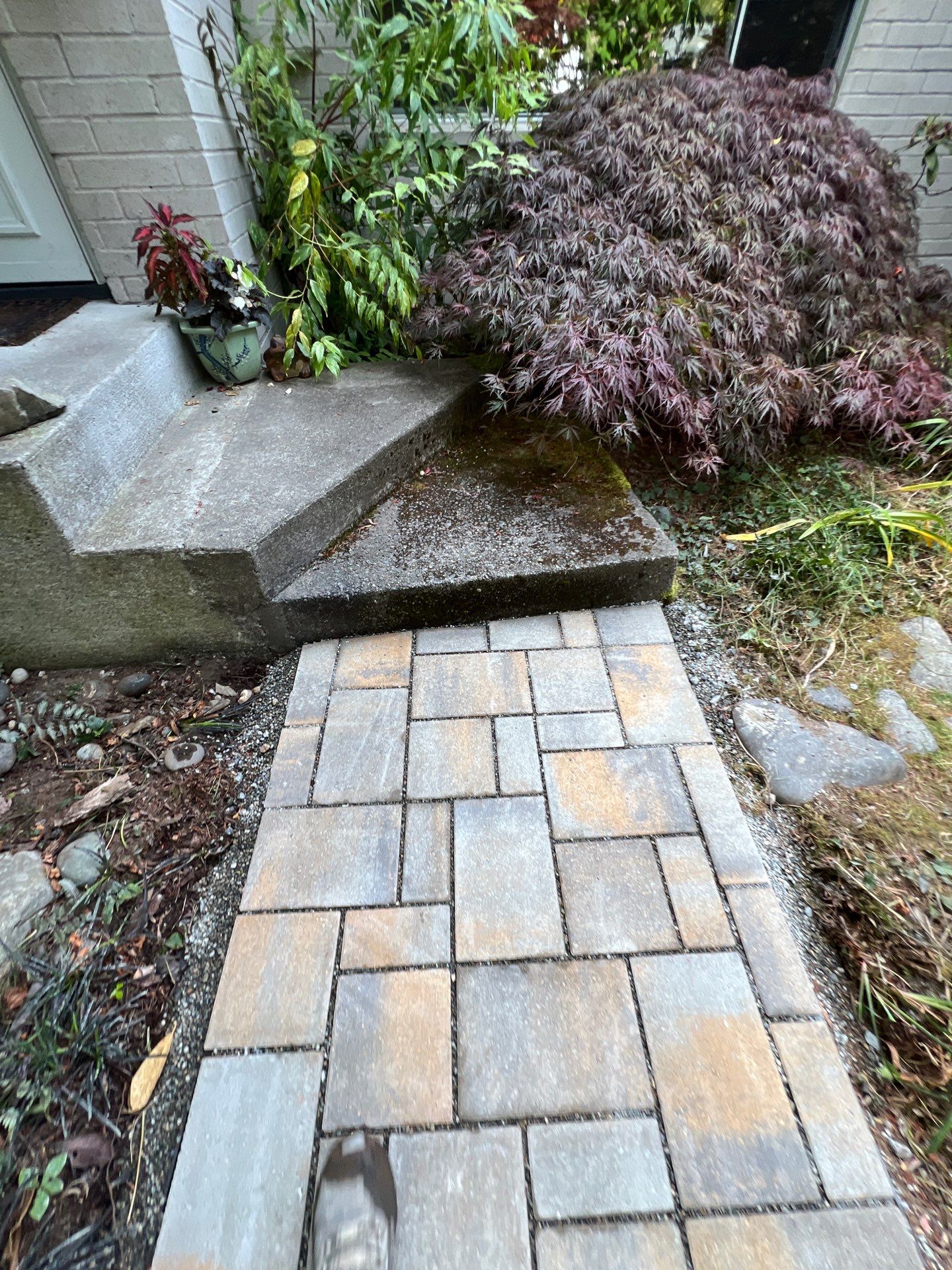 Pavers Driveway & Walkway with Concrete Lip | Seattle  by Jireh Asphalt & Concrete Inc 