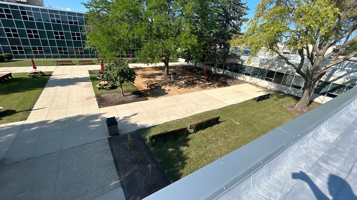 concrete using Algaecide, soft wash soap by Northern Power Washing LLC.