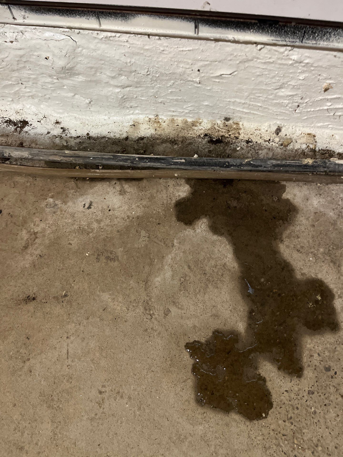 Akron Basement Waterproofing by Beck Restoration Management Group