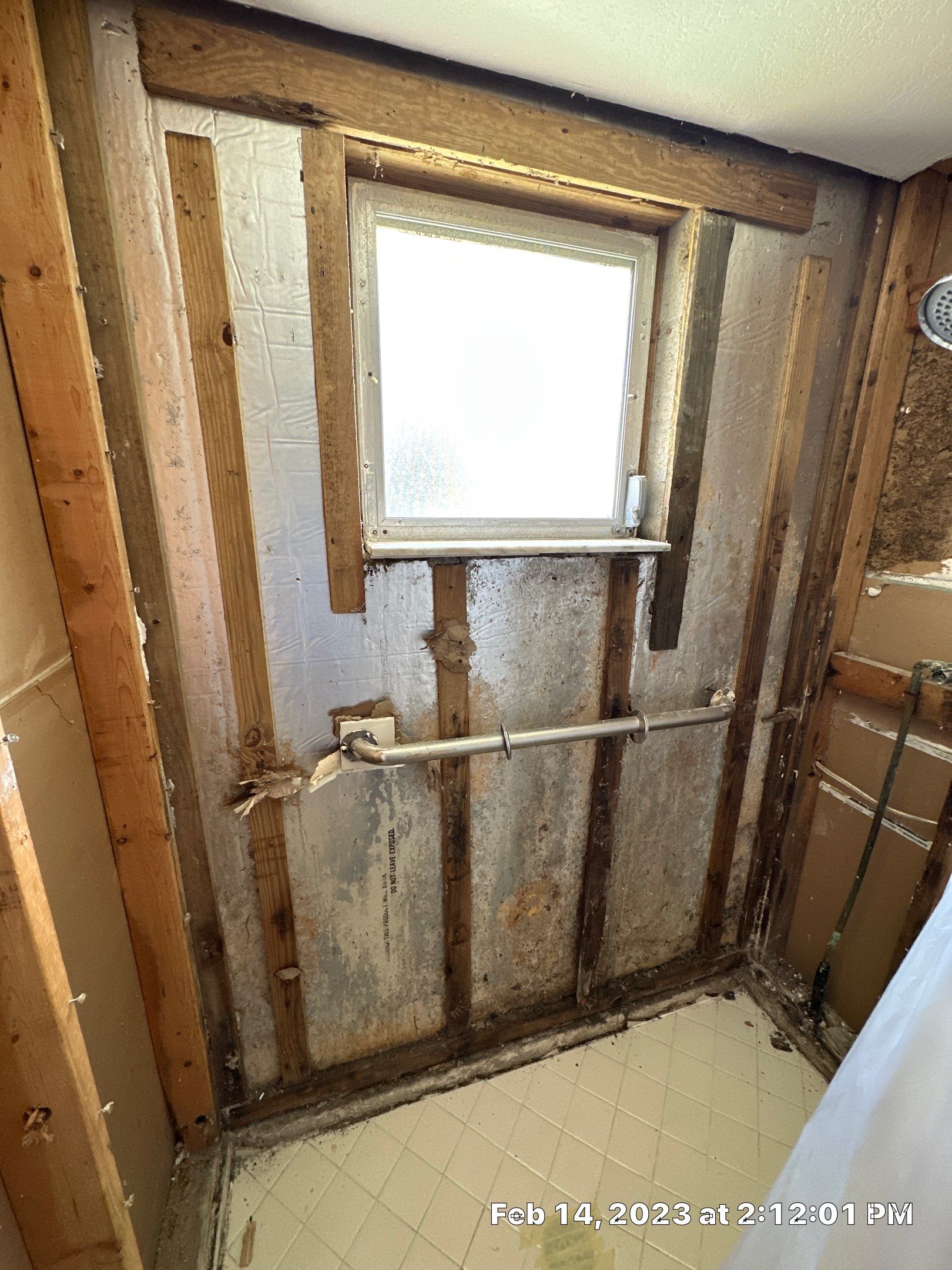 Mold Assesment by Building performance Solutions LLC