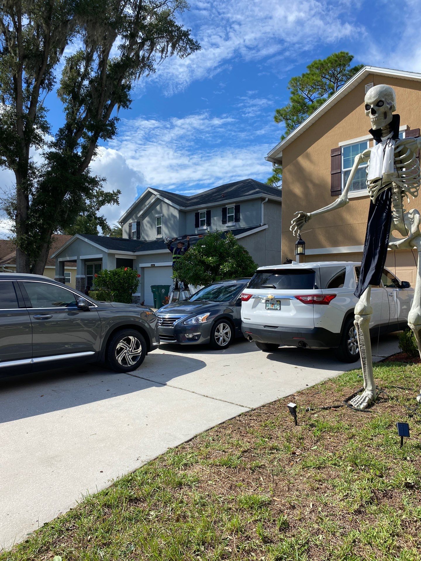 Property Clean Up | Residential by ProGreen Services