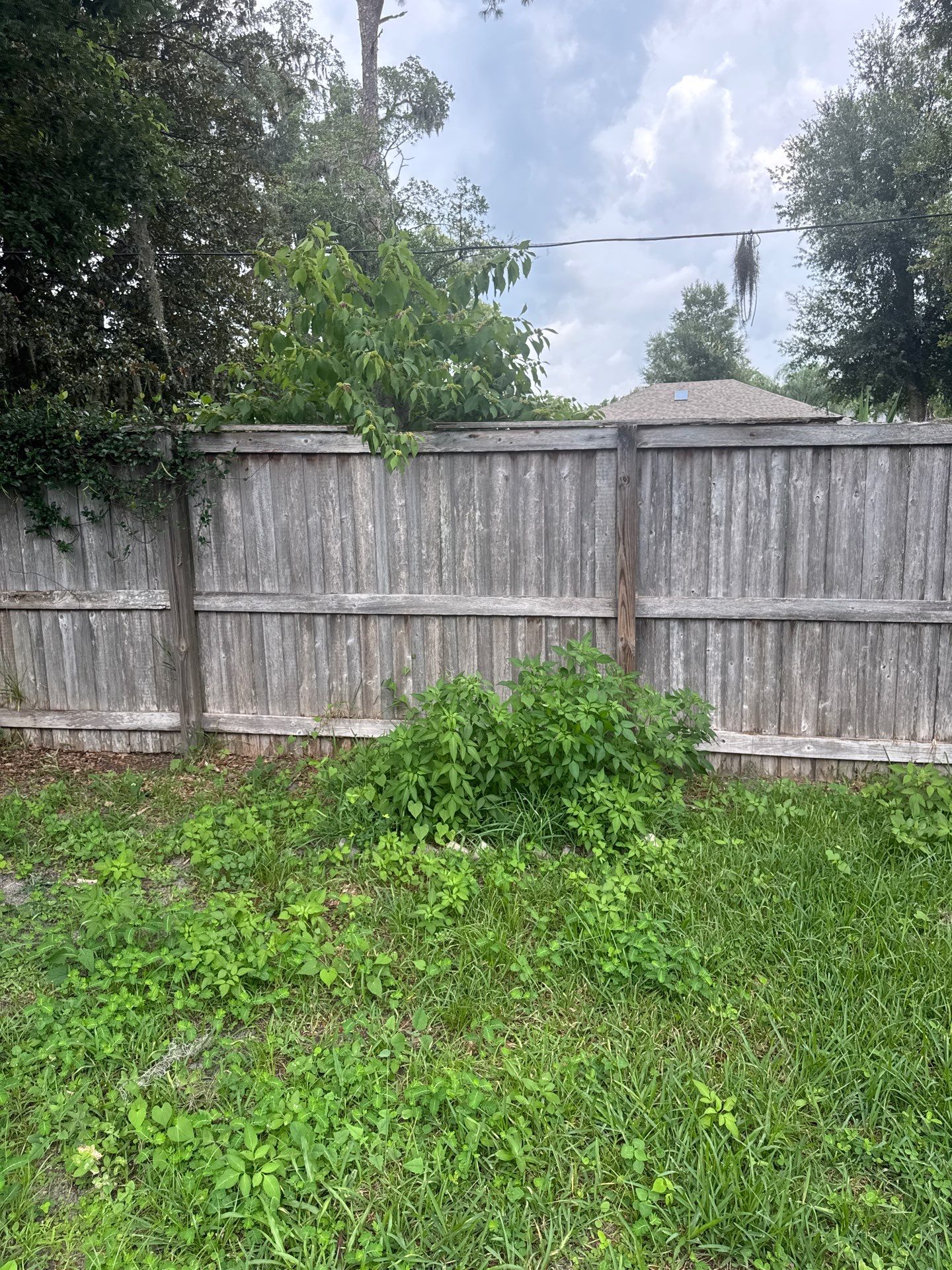 Residential | Clean-Up & Mulch Install by ProGreen Services