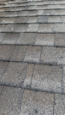 Turtle Shell gutter protection installation in Naperville, IL 60563, photograph 17