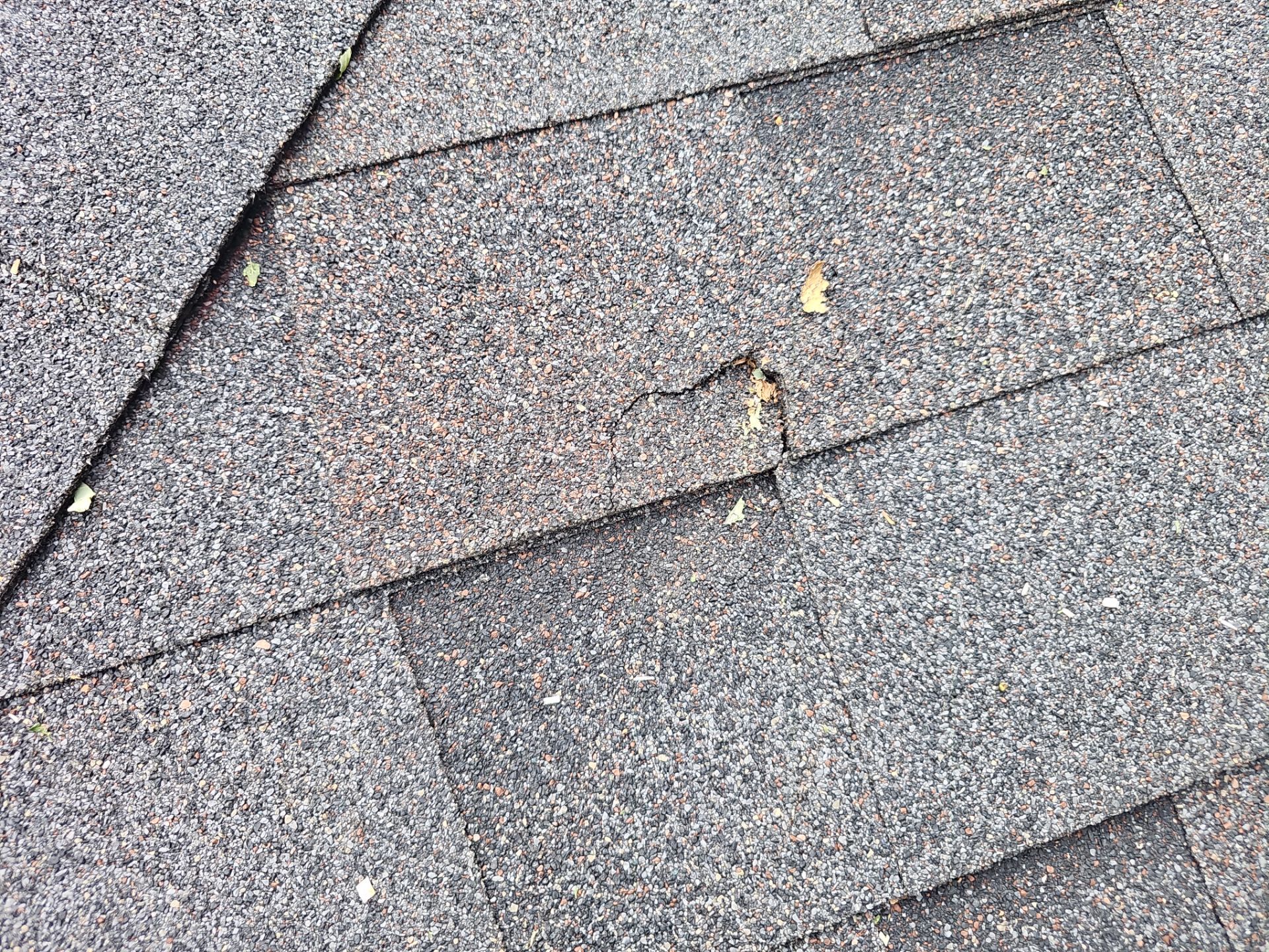 Wind & Tree Impact Roof Repair in Ord by Loyal Nine