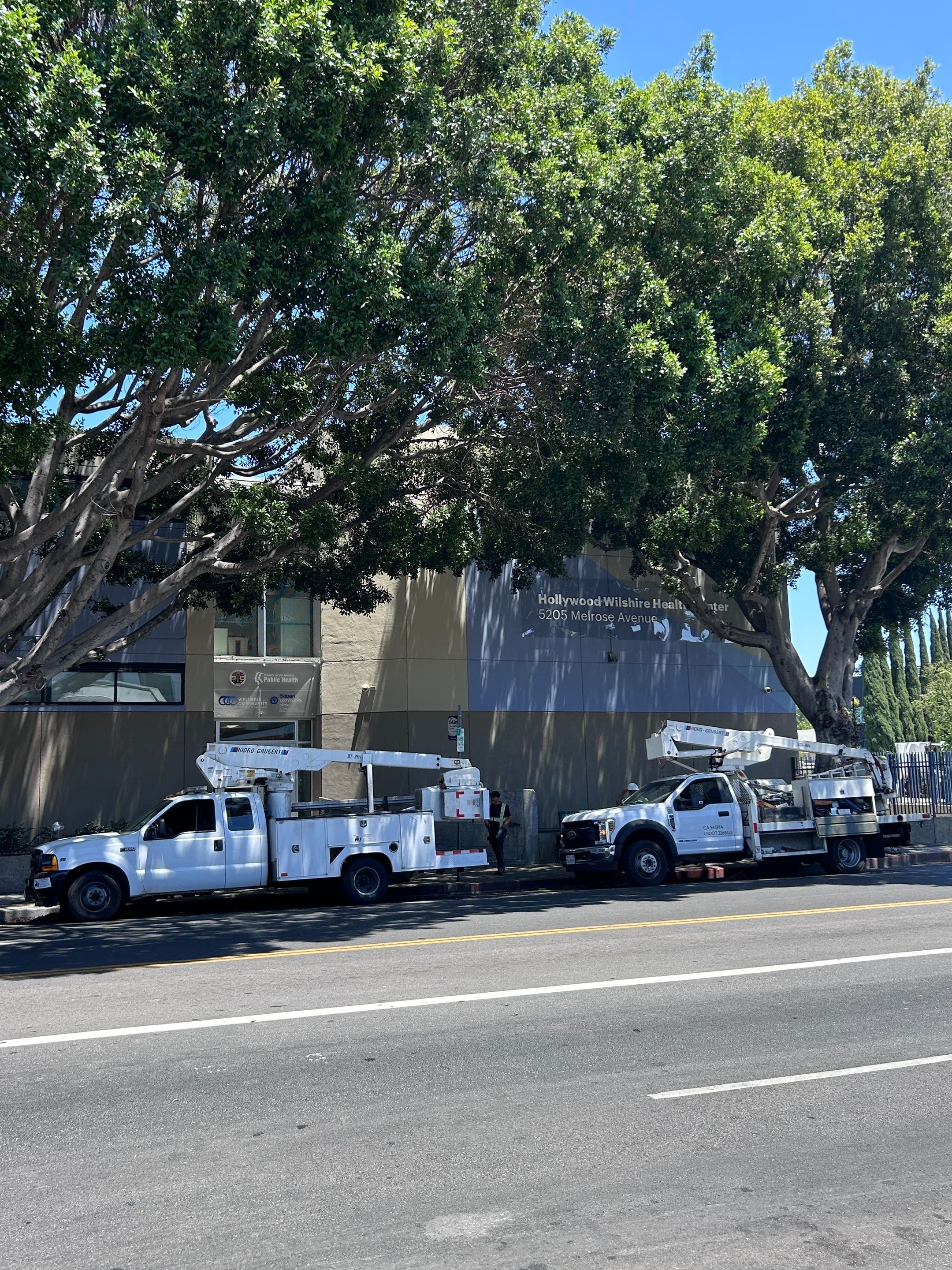 Project in Los Angeles by Golden State Signs