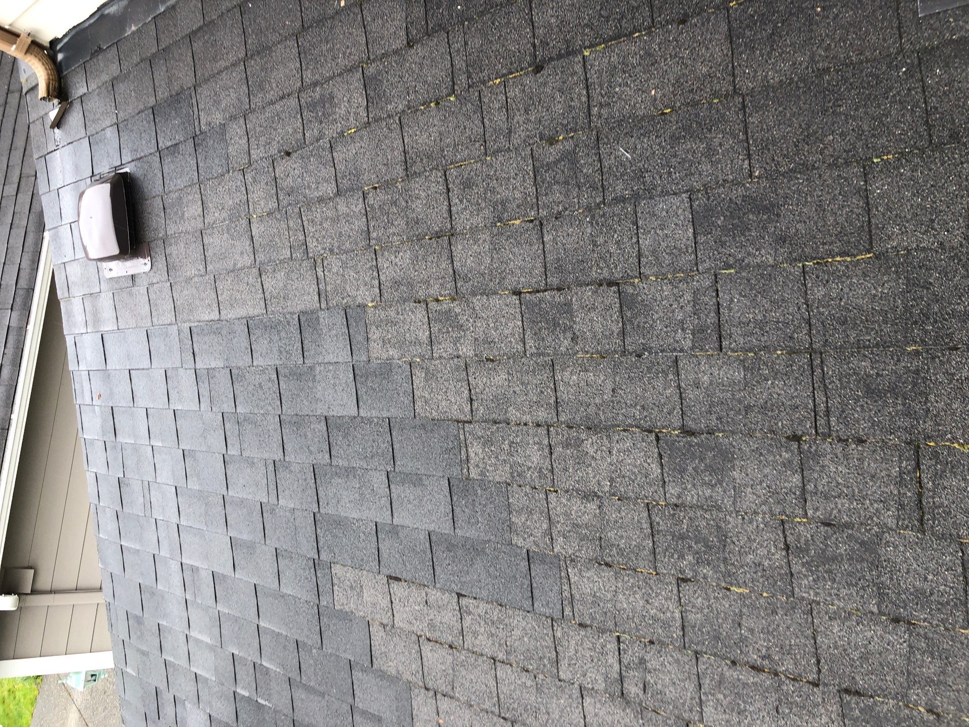 Project in Bellingham by Peaks and Valleys Construction