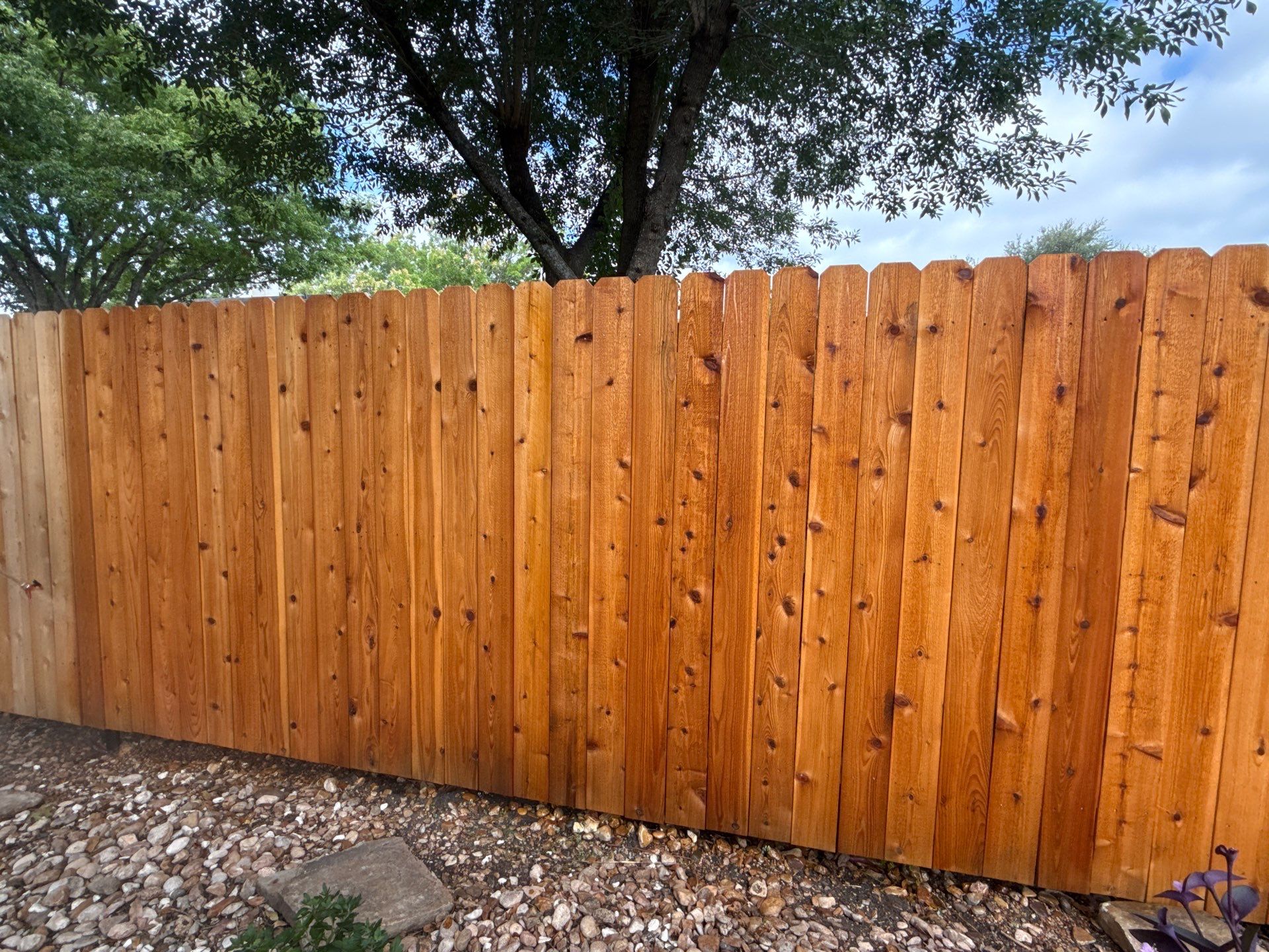 Cedar Privacy Fence Staining and Protection in Pflugerville by Rhino Home Care