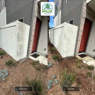 Newport HOA softwash