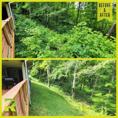 Land Clearing Behind House and Deck