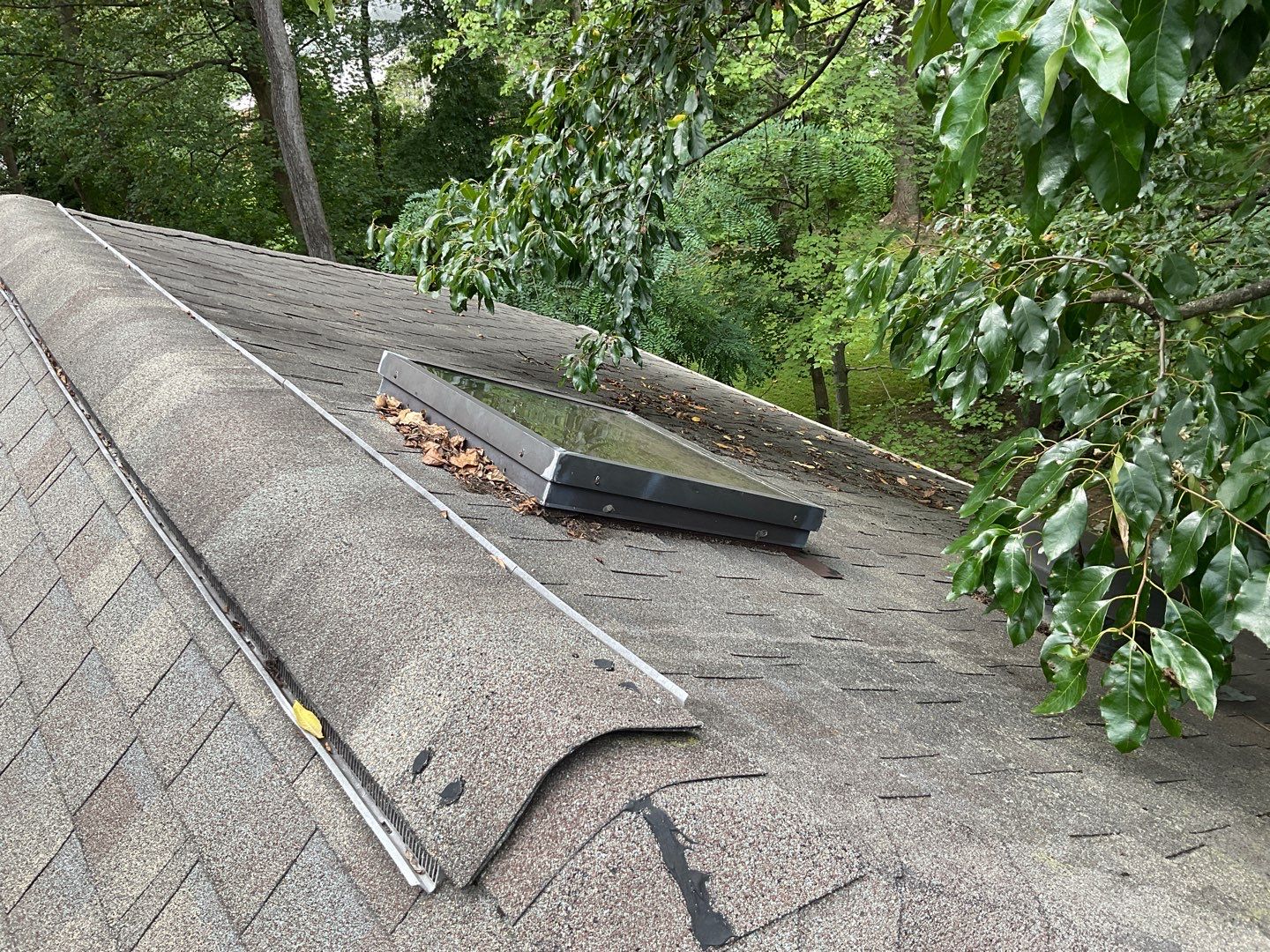 Install new shingles and new skylights  by Alpha Design Services